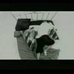 insomnio-kumbia-kings