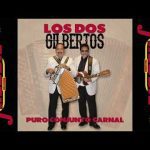 dos-gilbertos-2-gs-puro-conjunto-carnal-album-completo