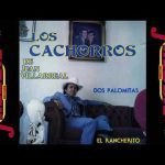 los-cachorros-dos-palomitas-album-completo